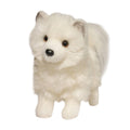 Fhoebe Pomsky