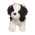 Poofy Shih-tzu Black & White