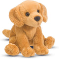 Gracie Golden Retriever