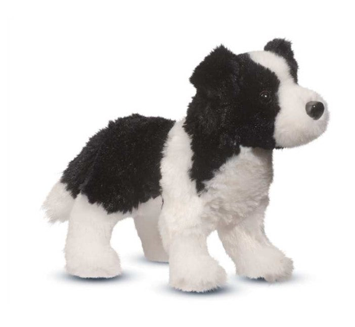 Meadow Border Collie