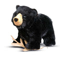 Morley Black Bear