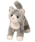 Scatter Gray Cat