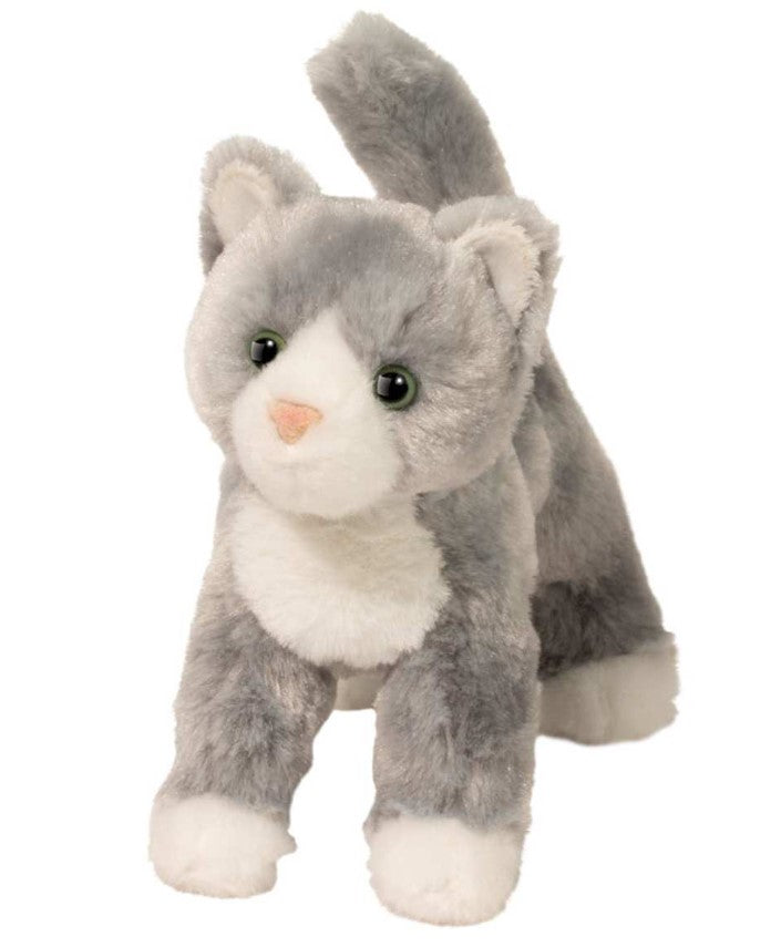 Scatter Gray Cat