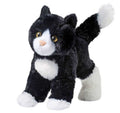 Snippy Black & White Cat