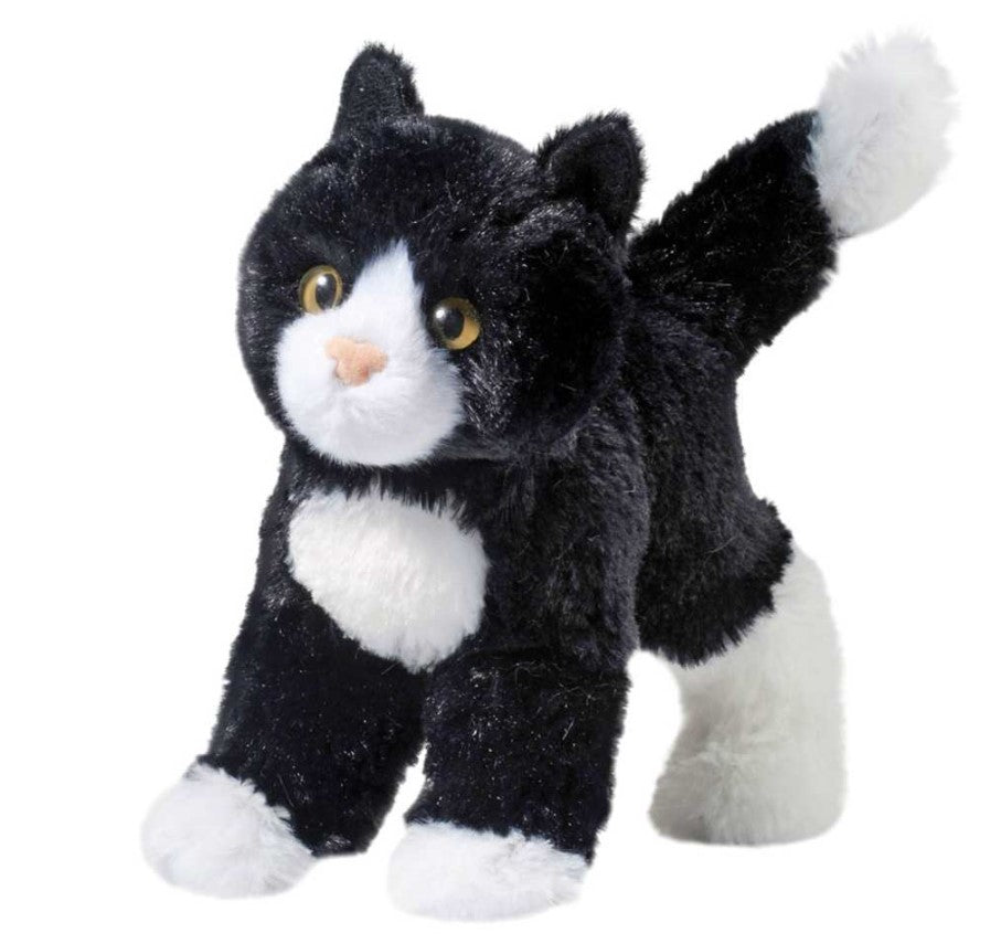 Snippy Black & White Cat