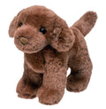 Sylvia Chocolate Lab