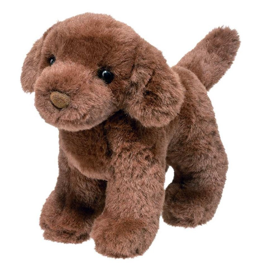 Sylvia Chocolate Lab